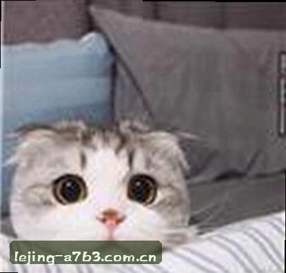 周杰